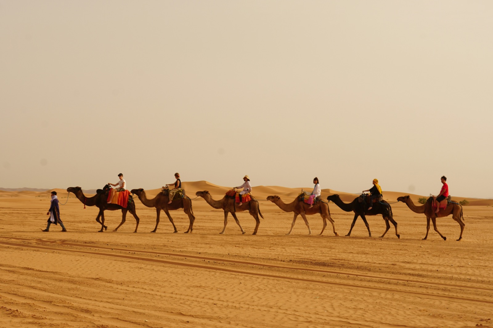 AVENTURES CAMEL — photo 2